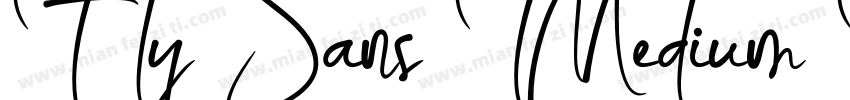 Fly Sans Medium Regular字体转换
